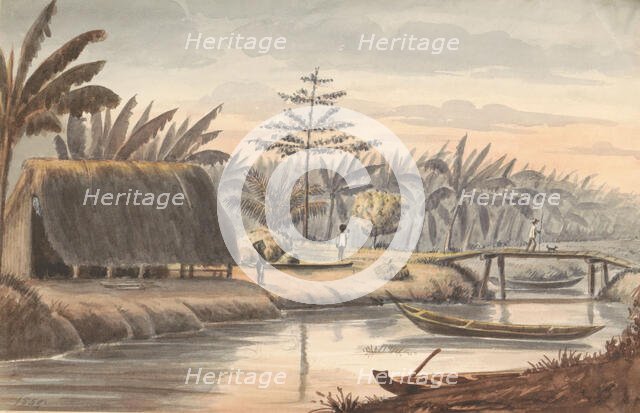 Plantation Visserszorg with banana field, 1859. Creator: Jacob van Geffen.