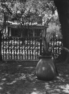 Cornstalk wrought iron fence, 1448 4th Street, New Orleans, between 1920 and 1926. Creator: Arnold Genthe.