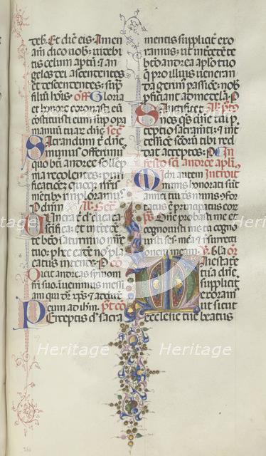 Missale: Fol. 260: Foliage with Fruit, 1469. Creator: Bartolommeo Caporali (Italian, c. 1420-1503).