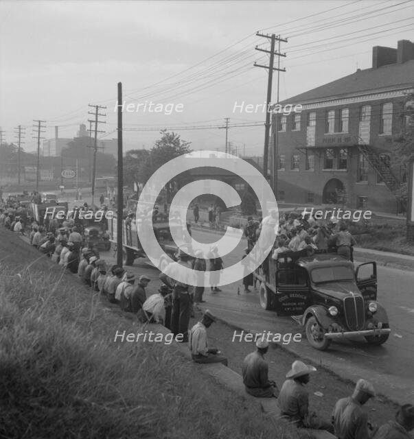 Cotton hoers, Memphis, Tennessee, 1937. Creator: Dorothea Lange.