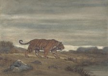 Tiger Approaching Pool, 1810-75. Creator: Antoine-Louis Barye.