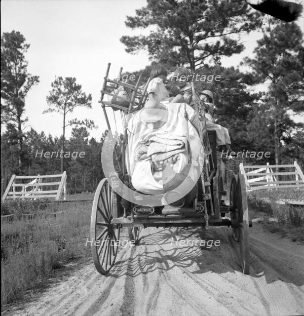 Moving day in the turpentine pine forest country, Northern Florida, 1936. Creator: Dorothea Lange.