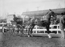 Horse Shows - Unidentified Men, Driving, 1911. Creator: Harris & Ewing.