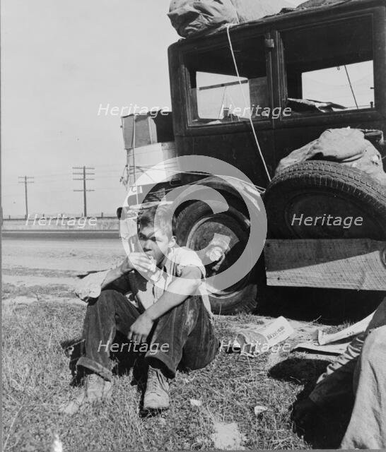 Son of depression refugee from Oklahoma now in California, 1936. Creator: Dorothea Lange.