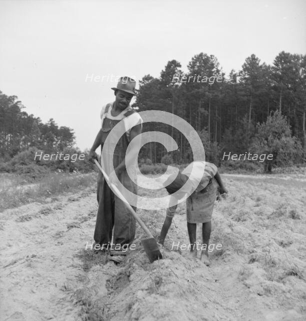 Thirteen year old daughter of Negro sharecropper..., Olive Hill, North Carolina, 1939. Creator: Dorothea Lange.