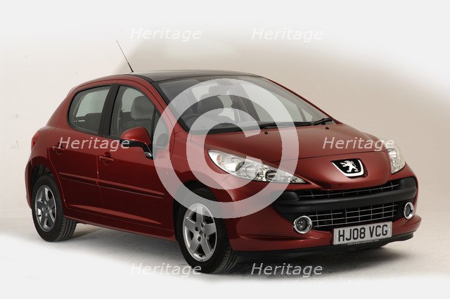 2008 Peugeot 207 Artist: Unknown.