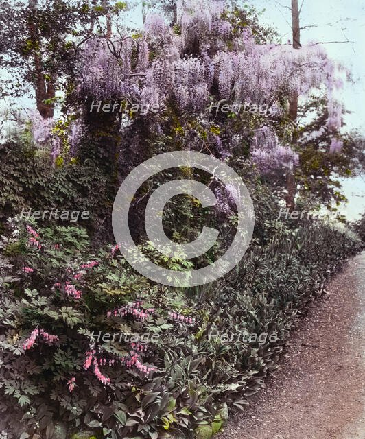 "Willowmere," Rear Admiral Aaron Ward house, 435 Bryant Avenue, Roslyn Harbor, New York, c1914. Creator: Frances Benjamin Johnston.