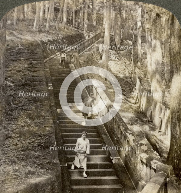 Ancient stone stairway up the hill to the tomb of Shogun Ieyasu, Nikko, Japan, 1904.Artist: Underwood & Underwood