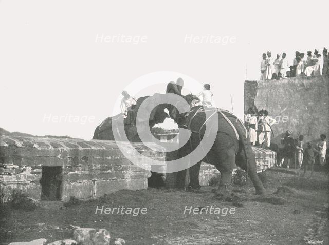 An elephant fight, Hyderabad, India, 1895.  Creator: Unknown.