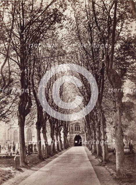 Avenue to the Church, Stratford on Avon, between 1870 and 1880. Creator: Francis Bedford.