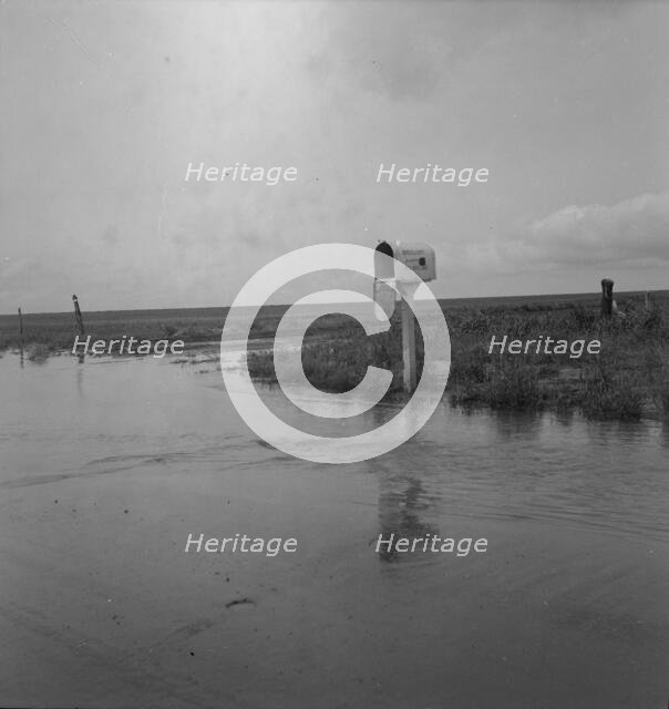 This year (1937) there are floods and heavy rains in the Dust Bowl, Texas, 1937. Creator: Dorothea Lange.