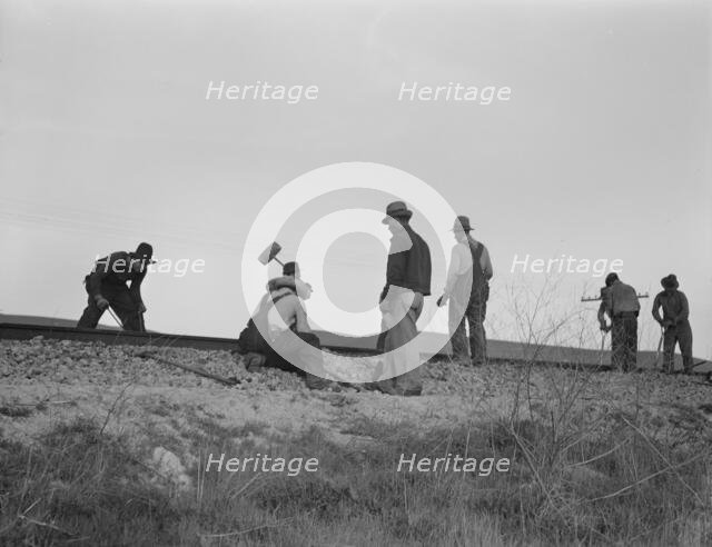 White section gang near King City, California, 1937. Creator: Dorothea Lange.