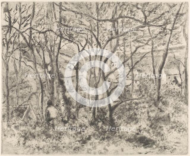 The Woods at L'Hermitage, Pontoise, 1879. Creator: Camille Pissarro.