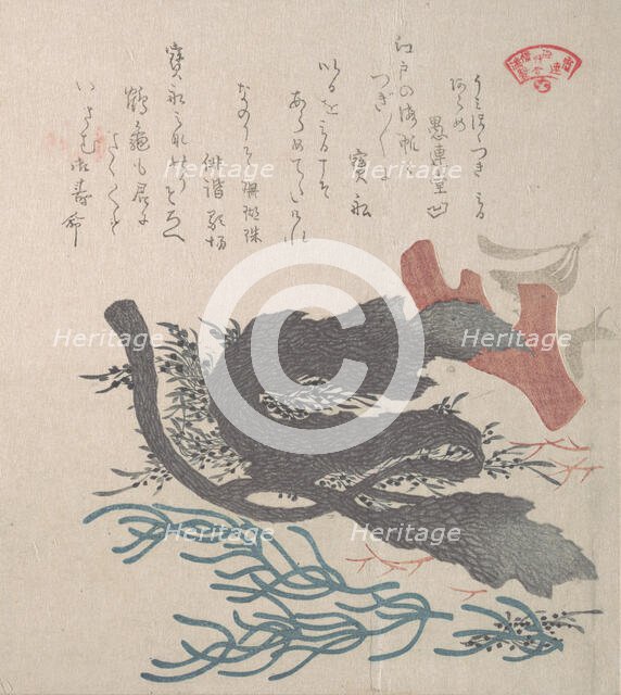 Various Seaweed, 19th century. Creator: Kubo Shunman.