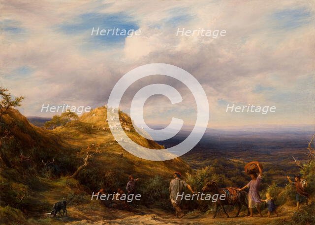 A Wooded Valley and Hill, 1865. Creator: William Linnell.