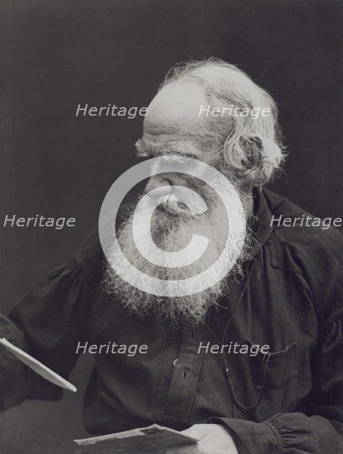 Portrait of the author Count Lev Nikolayevich Tolstoy (1828-1910).