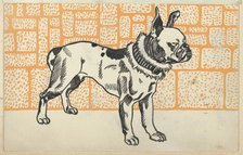Pitbull Terrier, 1912. Creator: Moritz Jung.