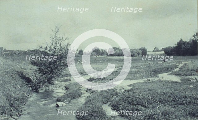 The brook, 1895. Creator: Wallace C. Babcock.