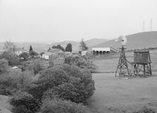 Small farm in the coast range foothills, Alameda County, California, 1939. Creator: Dorothea Lange.