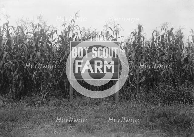 Boy Scouts, Boy Scout Farm, 1917. Creator: Harris & Ewing.