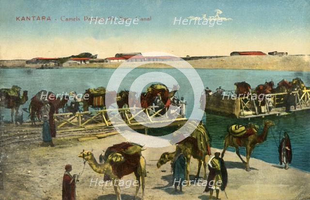 'Kantara - Camels passing the Suez Canal', c1918-c1939. Creator: Unknown.