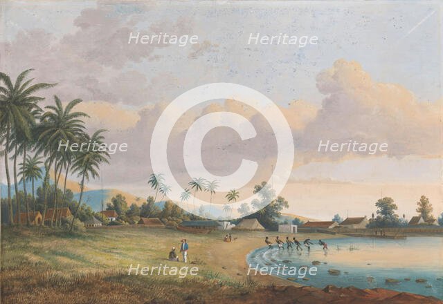 View of Carnation Java, 1838-1898. Creator: Charles William Meredith van de Velde.