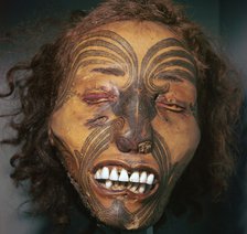 Mummified head of a Maori Chief. Artist: Unknown