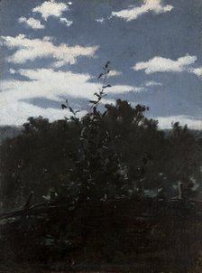 Landscape with a Brushwood Fence, c1880. Creator: Witold Pruszkowski.