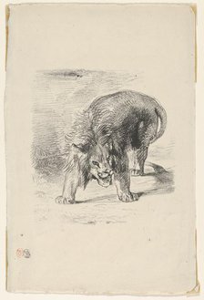 Lion Standing, 1833., 1833. Creator: Eugene Delacroix.