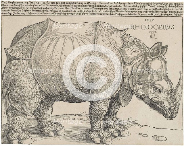The Rhinoceros.
