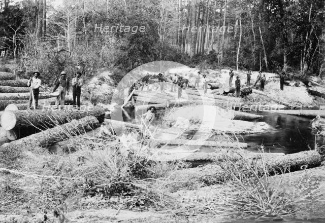 Rafting pine logs, Keystone Lumber Company, 1901 Dec 29. Creator: Unknown.