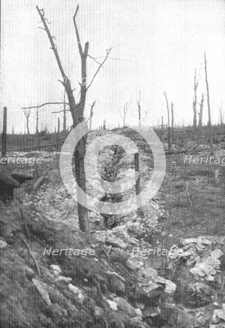 'A la division Mangin; Une section en reserve au bois de la Caillette, repris..., 1916 (1924) Creator: Unknown.