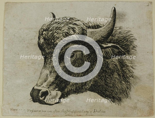 Buffalo Head Facing Left, from Die Zweite Thierfolge, 1799/1803. Creator: Johann Christian Reinhart.