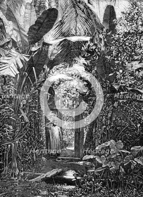 Sketches of Annam, Cochin China: village pathway, 1883. Creator: Kemp.