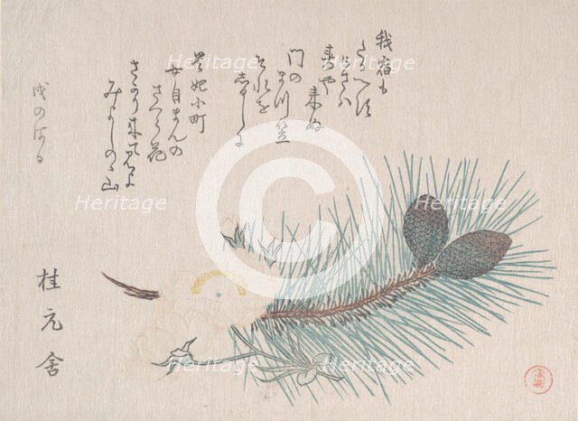 Pines and Cherry Blossoms, probably 1814. Creator: Kubo Shunman.