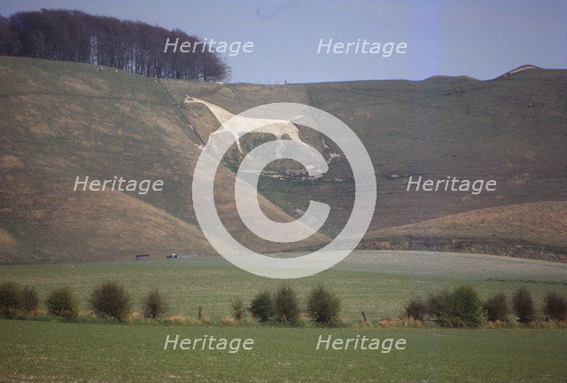 Cherhill White Horse (18th Century), Wiltshire, England, 20th century.  Artist: CM Dixon.