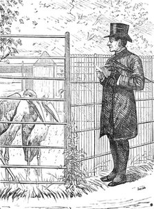 Sketch of a picture in the Royal Academy Exhibition: An Episcopal Visitation, H. S. Marks R.A., 1881 Creator: Unknown.