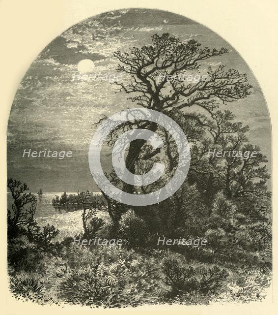 'Point of Cape Ann, from Cedar Avenue, Pigeon Cove', 1874.  Creator: J. C. S..