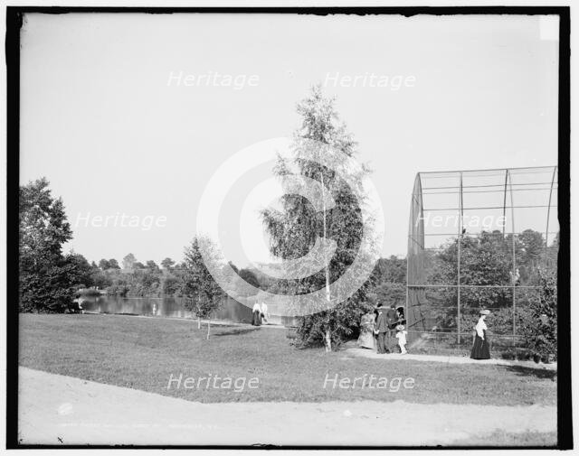 Aviary and lake, Seneca Park, Rochester, N.Y., between 1900 and 1906. Creator: Unknown.