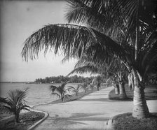 Palm Beach, c1894. Creator: William H. Jackson.