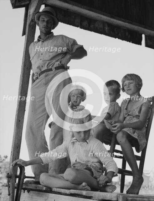 Cotton sharecropper family near Cleveland, Mississippi, 1937. Creator: Dorothea Lange.