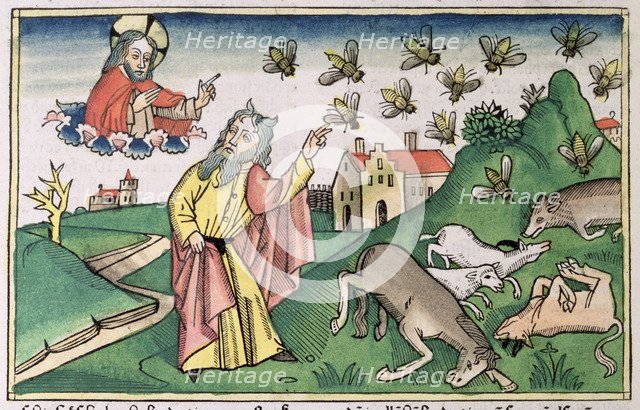 Exodus 8:20-32: Moses and the swarm of flies, one of the Seven Plagues of Egypt. Artist: Unknown