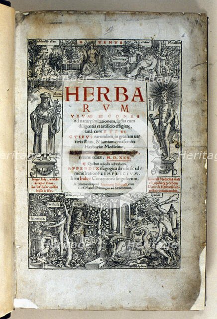 Cover of the book 'Herbarum vivae eicones ad nature imitationem' by Otto Brunfels, 1530. Creator: Brunfels, Otto (1488-1534).