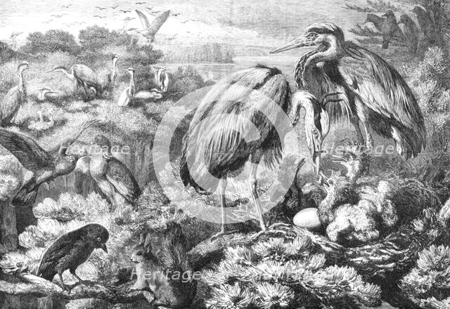 The Heronry at Didlington Park, Norfolk, 1868. Creator: Unknown.