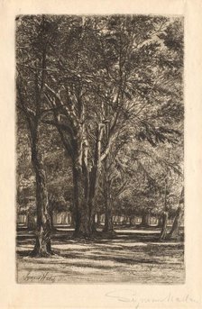 Kensington Gardens, No. 2 (Large Plate), 1860. Creator: Francis Seymour Haden (British, 1818-1910).