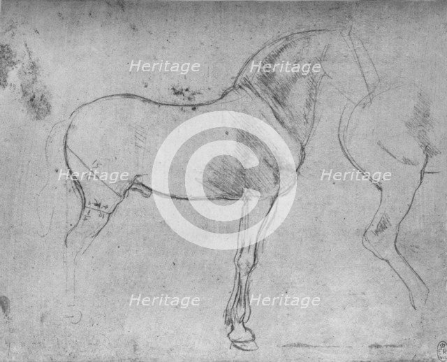 'A Horse in Profile to the Right and its Hind-Quarters', c1480 (1945). Artist: Leonardo da Vinci.