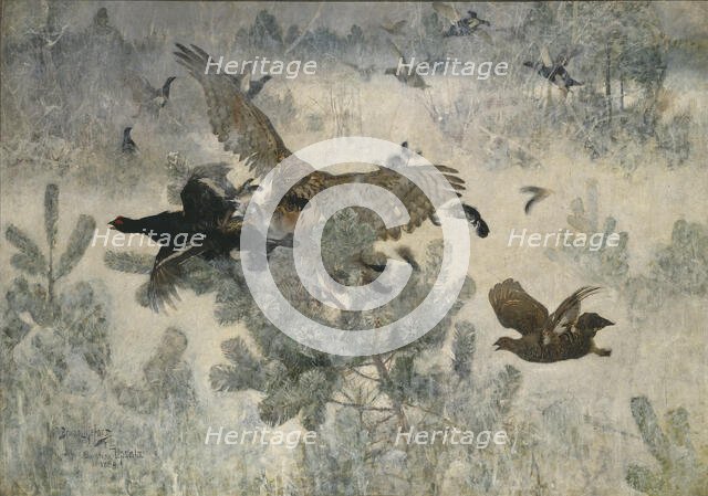 Hawk and Black-Game, 1884. Creator: Bruno Liljefors.