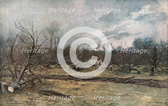 'Les pommiers coupes a Cuts (Oise)', 1917. Creator: Francois Flameng.