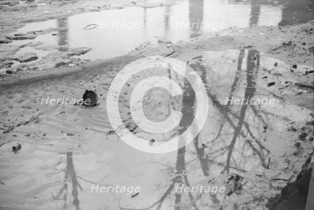 Farmyard covered with flood waters near Ridgeley, Tennessee, 1937. Creator: Walker Evans.