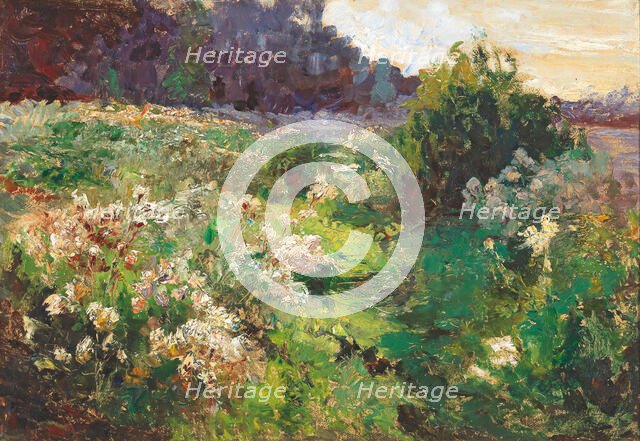 Meadow, 1926. Creator: Wisinger-Florian, Olga (1844-1926).